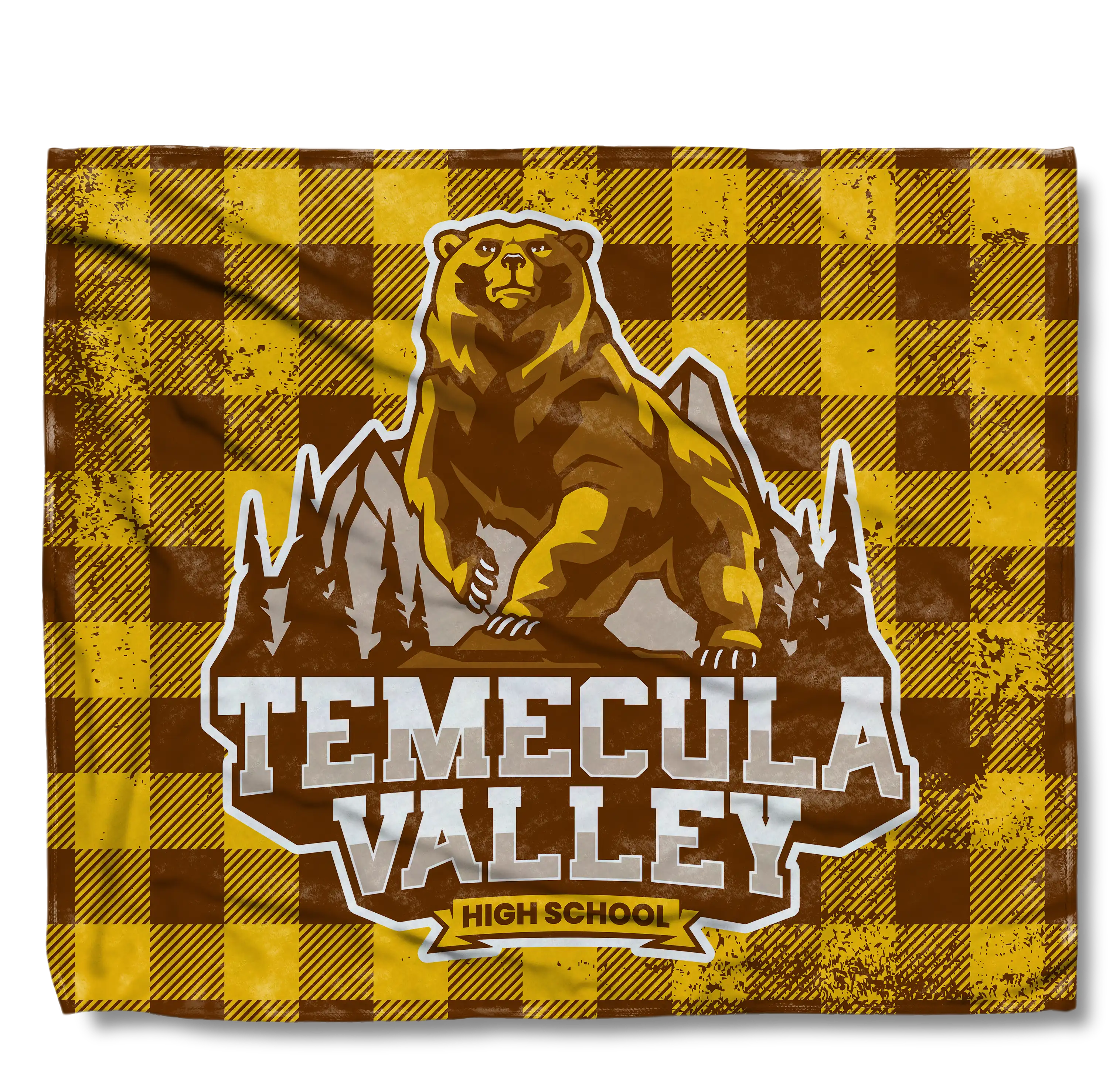 TVHS Picnic