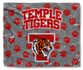 The Temple Tigers Paws