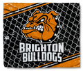 Brighton Baseball Field Spirit