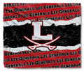 The LG Color Rush