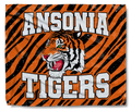 The Ansonia Tigers Stripes Blanket