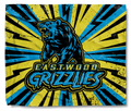 Grizzlies Lightning Blanket