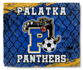 The Palatka Panthers Soccer Goal