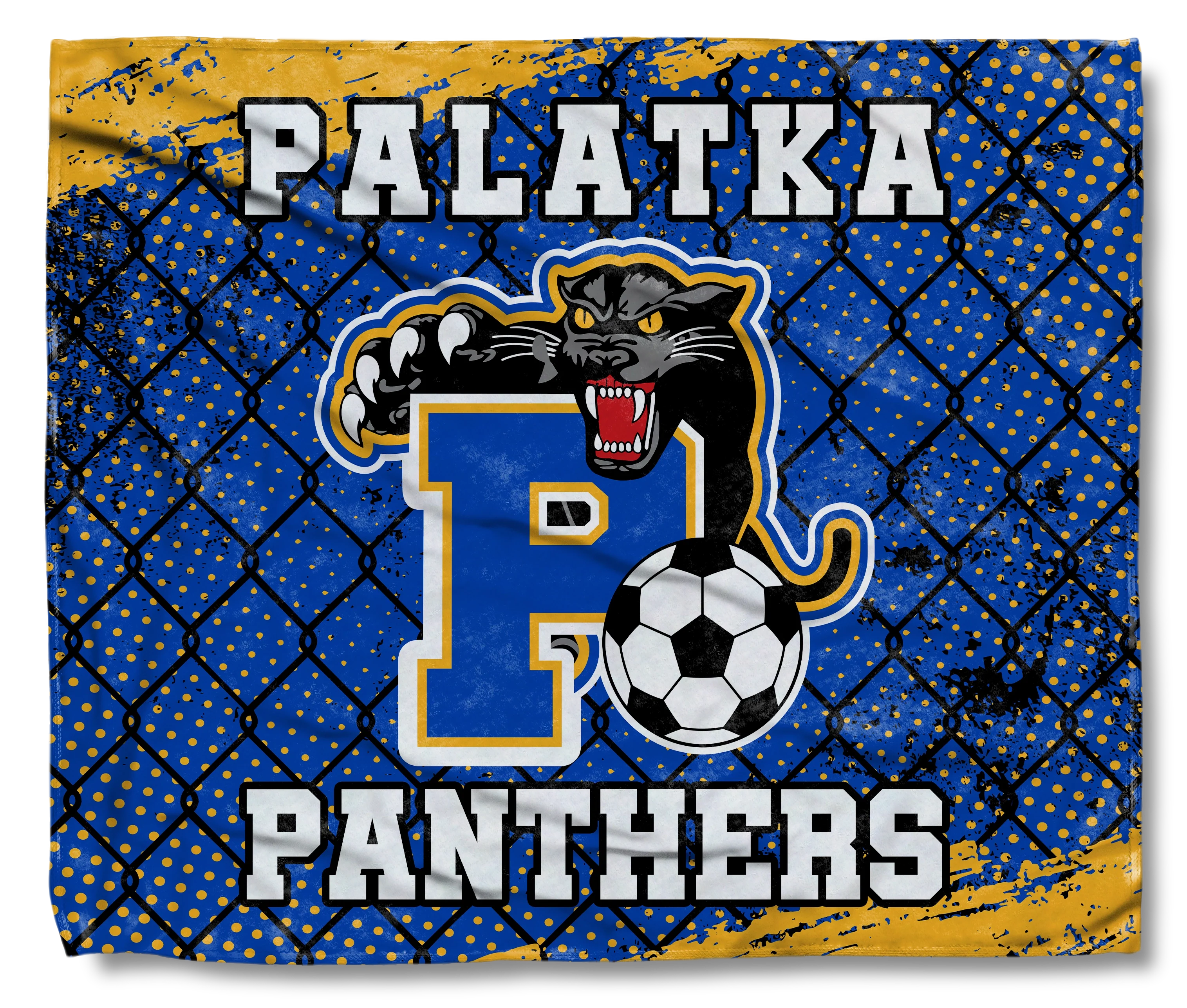 The Palatka Panthers Soccer Goal