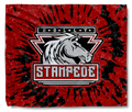 Stampede 1