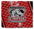 Stampede 2
