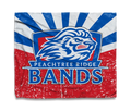 PRHS Band Rays
