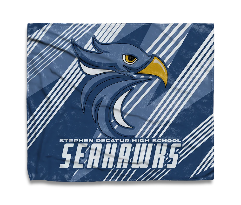 Seahawks Soar
