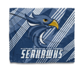 Seahawks Soar