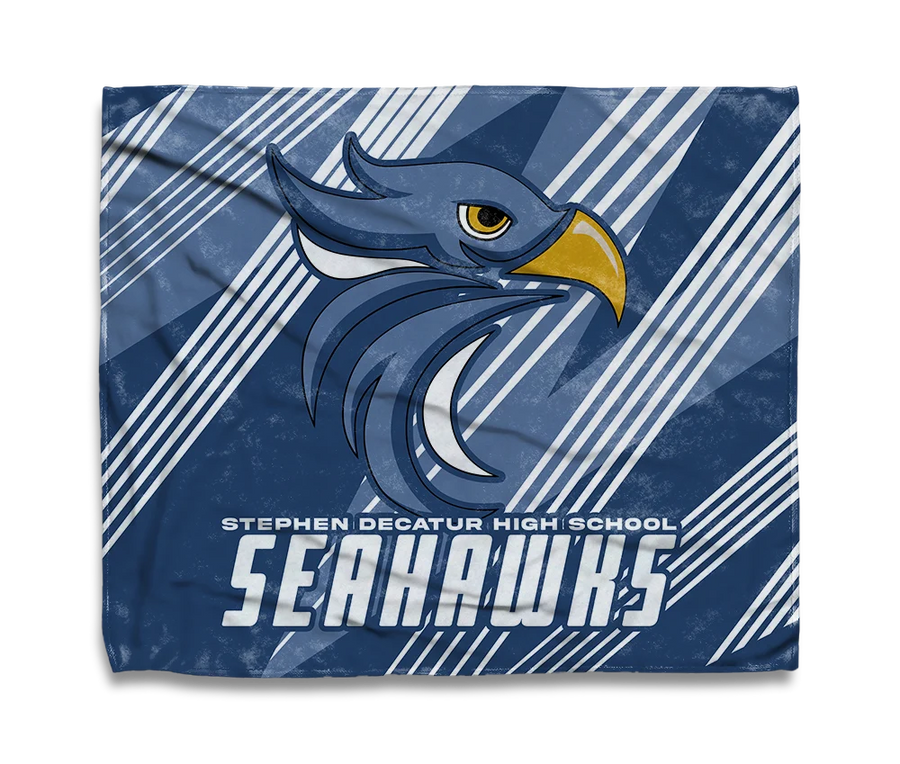 Seahawks Soar