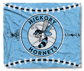 The Hickory Hornets Fastball Cozy
