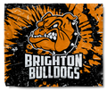 Brighton Baseball Swirl Snuggler