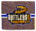 The PRS Rattler Stripe